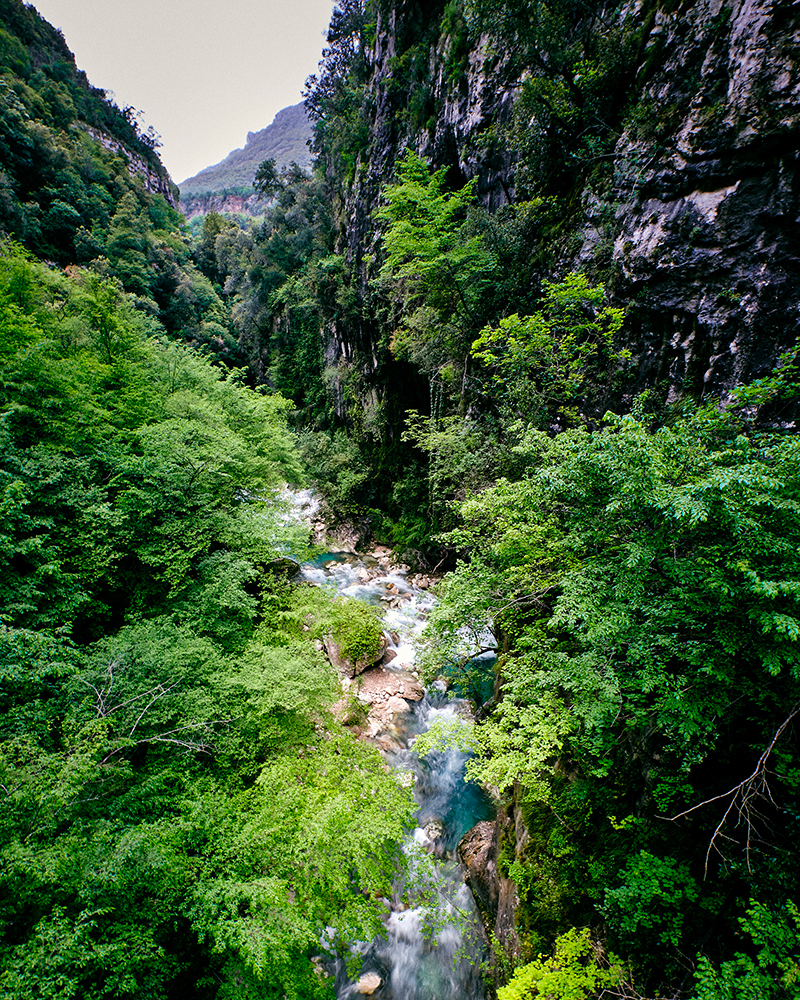 Indagini vegetazione ed ecosistemi Tellus
